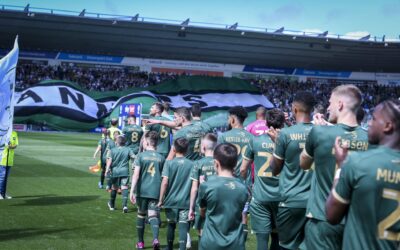 Fine Margins and Failing Ownership